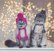 Load image into Gallery viewer, NEW Winter pet hat