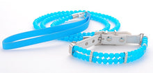 Load image into Gallery viewer, NEW Glow up dog collar set