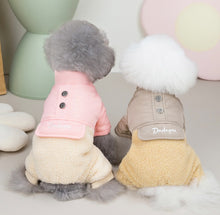 Load image into Gallery viewer, Pallete dog winter all in one