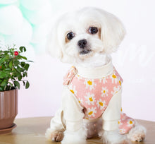 Load image into Gallery viewer, Daisy dog all in one
