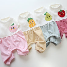 Load image into Gallery viewer, Fruity dog all in one