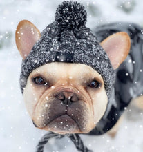 Load image into Gallery viewer, NEW Winter pet hat