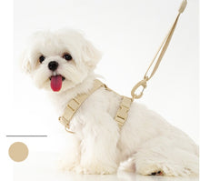 Load image into Gallery viewer, NEW Cute dog harness set