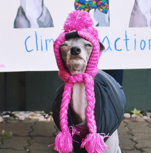 Load image into Gallery viewer, NEW Winter pet hat