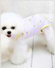 Load image into Gallery viewer, NEW Surgery Post operation dog onesie