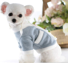 Load image into Gallery viewer, Winter Cherry dog jumper