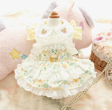 Load image into Gallery viewer, NEW D RING Teddy Lux dog dress