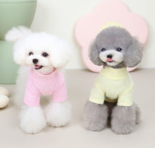 Load image into Gallery viewer, Teddy dog jumper