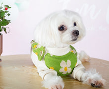 Load image into Gallery viewer, Daisy dog all in one