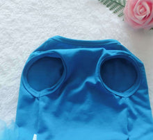 Load image into Gallery viewer, Teal Satin Halter Tutu Dog Dress