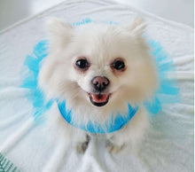 Load image into Gallery viewer, Teal Satin Halter Tutu Dog Dress