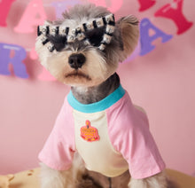 Load image into Gallery viewer, NEW Leo Chrystal dog shades