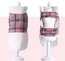 Load image into Gallery viewer, NEW Gauda dog jacket