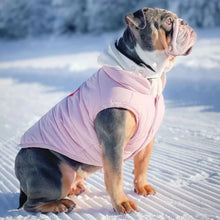 Load image into Gallery viewer, Trendy Urban style dog Jacket
