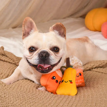 Load image into Gallery viewer, HugSmart Pet - Autumn Tailz | Pumpkin Play
