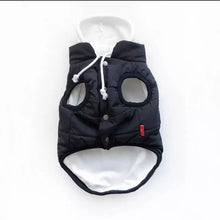 Load image into Gallery viewer, Trendy Urban style dog Jacket
