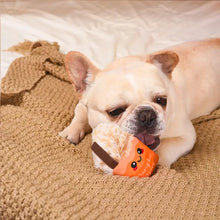 Load image into Gallery viewer, HugSmart Pet - Autumn Tailz | Pumpkin Play

