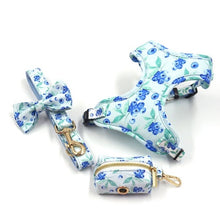 Load image into Gallery viewer, NEW Blueberry dog harness set
