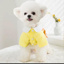 Load image into Gallery viewer, New Teddy Shirt With Bag
