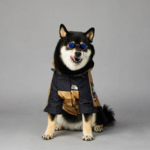 Load image into Gallery viewer, All Season Dog Rain Mac
