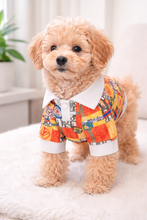 Load image into Gallery viewer, Bingo dog top

