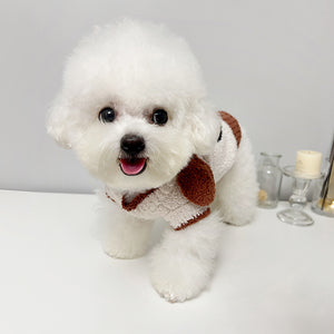 NEW Mr. Teddy Dog jumper