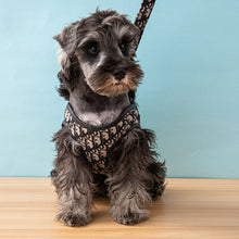 Load image into Gallery viewer, NEW Dogior dog harness and lead
