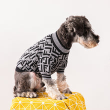 Load image into Gallery viewer, Grey Frendy dog jumper
