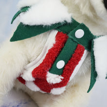 Load image into Gallery viewer, Little Helper Christmas dog jumper
