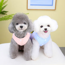 Load image into Gallery viewer, My Teddy dog jacket

