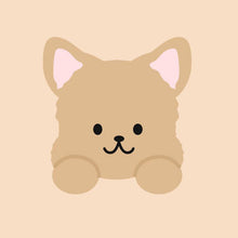 Load image into Gallery viewer, NEW Pet Bowl with Stand
