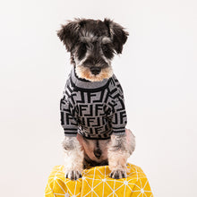 Load image into Gallery viewer, Grey Frendy dog jumper
