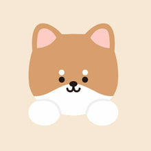 Load image into Gallery viewer, NEW Pet Bowl with Stand
