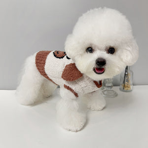 NEW Mr. Teddy Dog jumper