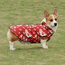 Load image into Gallery viewer, Christmas dog D ring jacket
