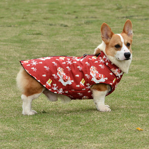 Christmas dog D ring jacket