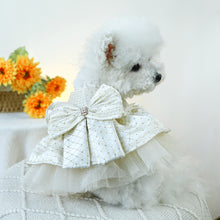 Load image into Gallery viewer, NEW Roman dog dress
