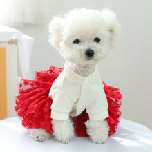 Load image into Gallery viewer, NEW Christmas Spirit dog dress
