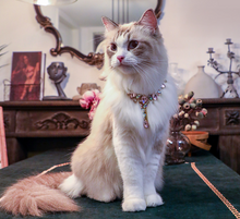 Load image into Gallery viewer, Royalty dog necklace
