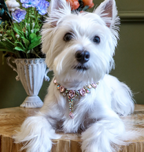 Load image into Gallery viewer, Royalty dog necklace
