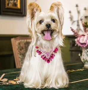 Royalty dog necklace