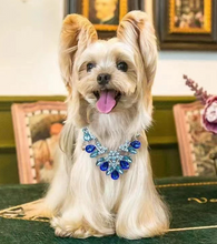 Load image into Gallery viewer, Royalty dog necklace
