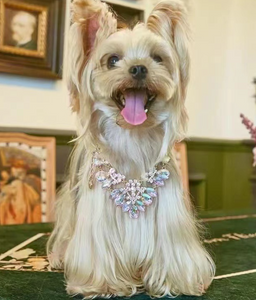 Royalty dog necklace