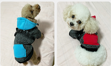 Load image into Gallery viewer, Sports dog harness jumper
