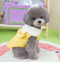 Load image into Gallery viewer, NEW Sweetheart dog coat
