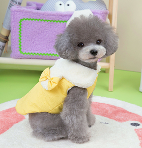 NEW Sweetheart dog coat