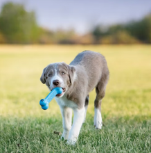 Load image into Gallery viewer, KONG PUPPY GOODIE BONE
