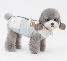 Load image into Gallery viewer, NEW Mr.Teddy D ring Dog Jacket
