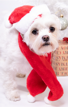 Load image into Gallery viewer, NEW Christmas Pet scarf set
