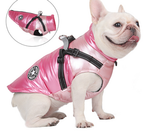 Mettalic dog harness jacket